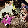 Luna is registered to the contest to win money with this photo: canidae, carnivore, dog, dog_breed, dog_clothes, french_bulldog, non_sporting_group, pink, pointer, puppy, rat_terrier, sporting_group