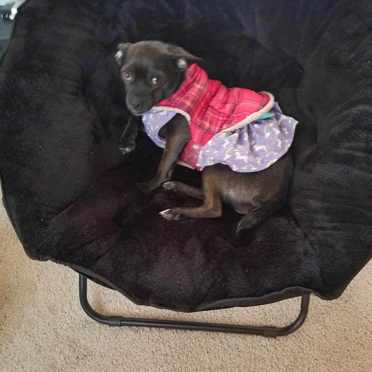 Luna