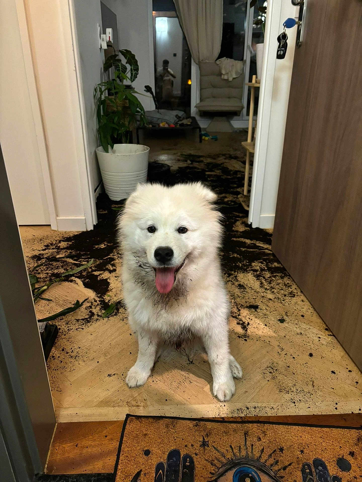 Yuki