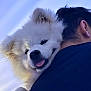affection, animal, canine, close_up, companion, cute, dog, fluffy, friendship, happy, hug, outdoor, person, pet, portrait, shoulder, sky, soft_light, tongue_out, white_dog