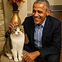 cat, cozy, cushion, decor, flower_vase, flowers, furniture, happy, indoor, man, petting, portrait, ring, seated, short_hair, smiling, suit, tabby_cat, watch, wood_floor