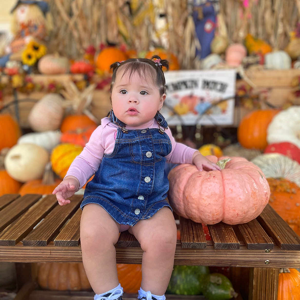 Gianna joined the competition — help win amazing prizes! baby, clothing, face, food, footwear, head, jeans, pants, person, photography, plant, portrait, pottedplant, produce, pumpkin, shoe, sitting, squash, vegetable, wood