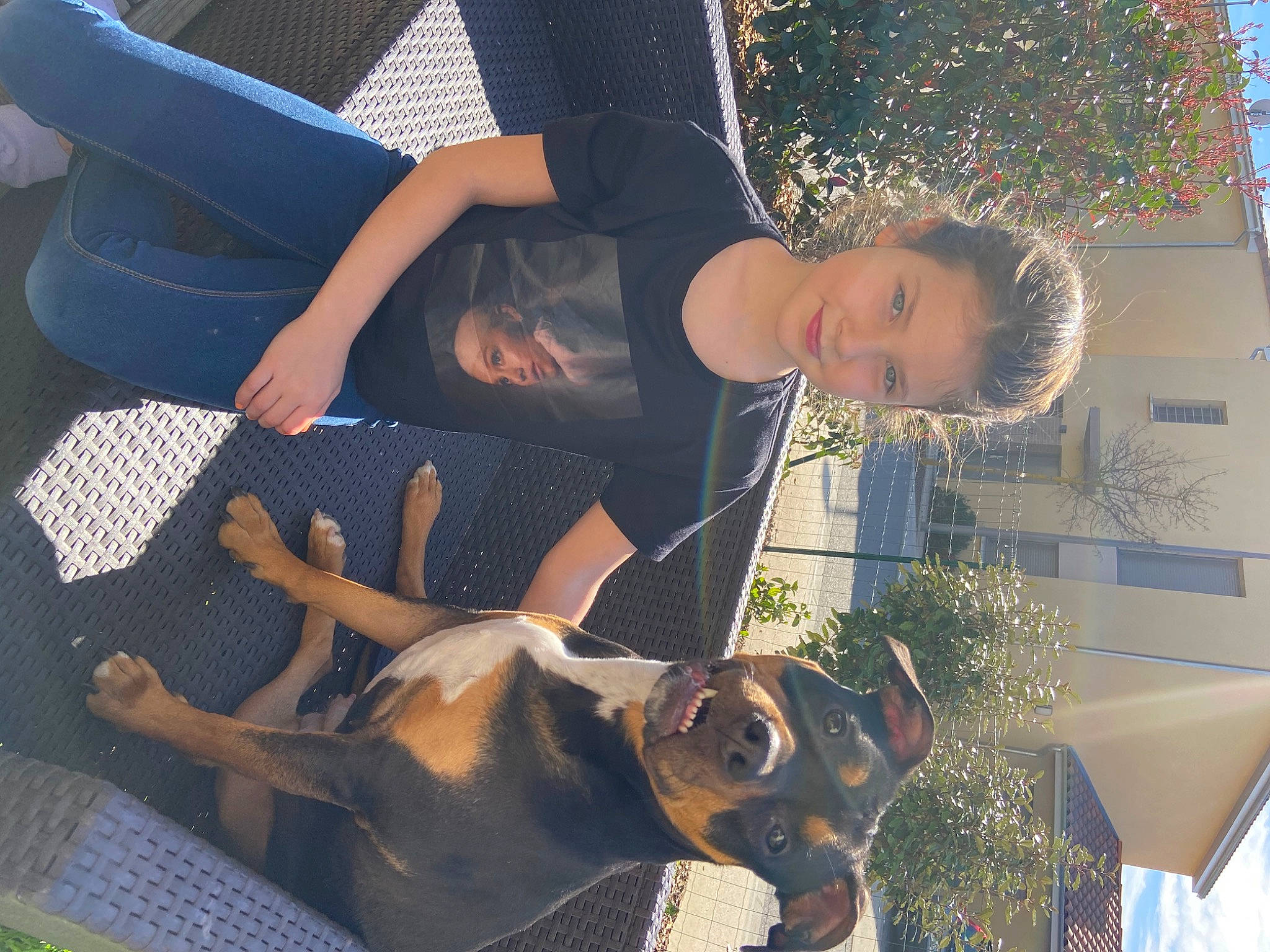 Keyla a rejoint le concours — aidez-le/la à gagner de superbes lots ! carnivore, companion_dog, cool, design, dog, dog_breed, event, eyewear, fawn, fun, happy, interaction, leisure, people, photograph, snapshot, sporting_group, summer, sunglasses, tree