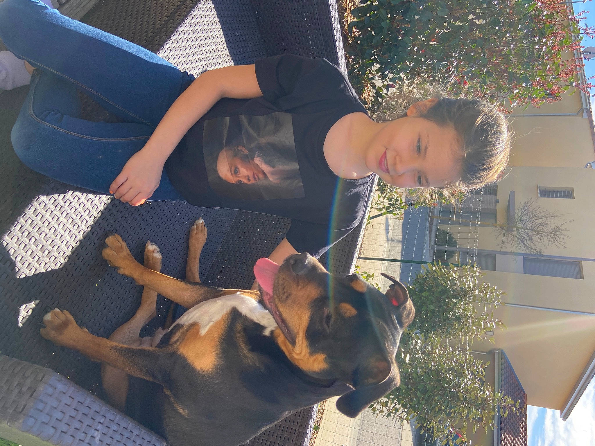 Keyla participe au concours pour gagner de l'argent avec cette photo : carnivore, christmas_ornament, christmas_tree, companion_dog, dog, dog_breed, event, fun, guard_dog, happy, holiday, leisure, light, ornament, photograph, plant, snapshot, sporting_group, tradition, tree