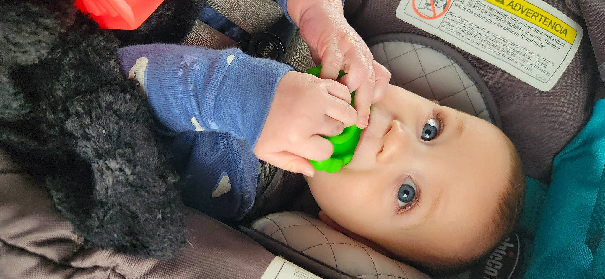 Lux joined the competition — help win amazing prizes! baby, baby_products, cheek, child, ear, eyelash, eyewear, finger, gesture, grass, hand, happy, human_body, mouth, nail, nose, person, personal_protective_equipment, thumb, toddler
