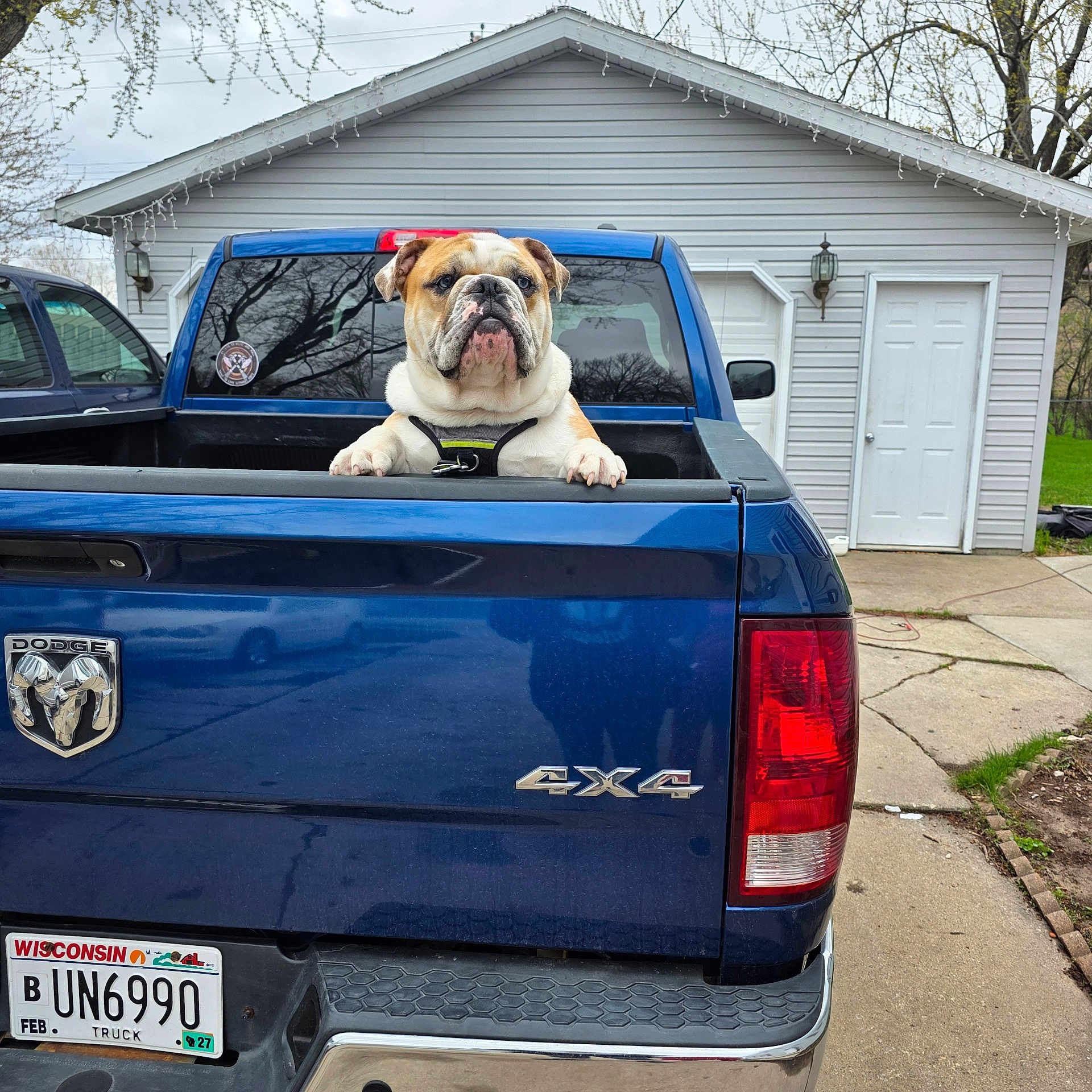 Max