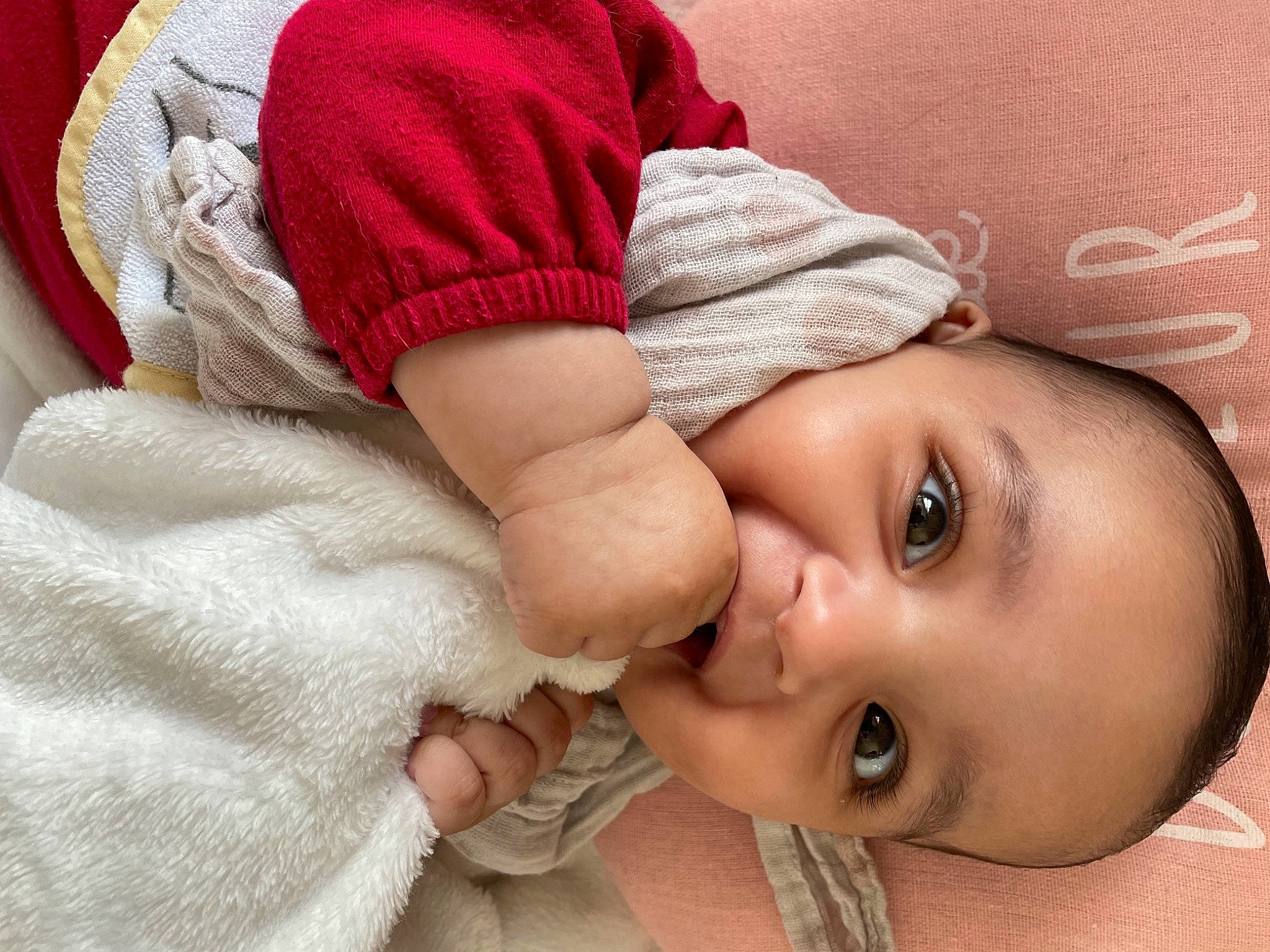 Maëline a rejoint le concours — aidez-le/la à gagner de superbes lots ! baby_toddler_clothing, cheek, comfort, eyelash, facial_expression, finger, gesture, happy, headgear, human_body, lip, mouth, neck, nose, organ, person, plant, skin, sleeve, smile