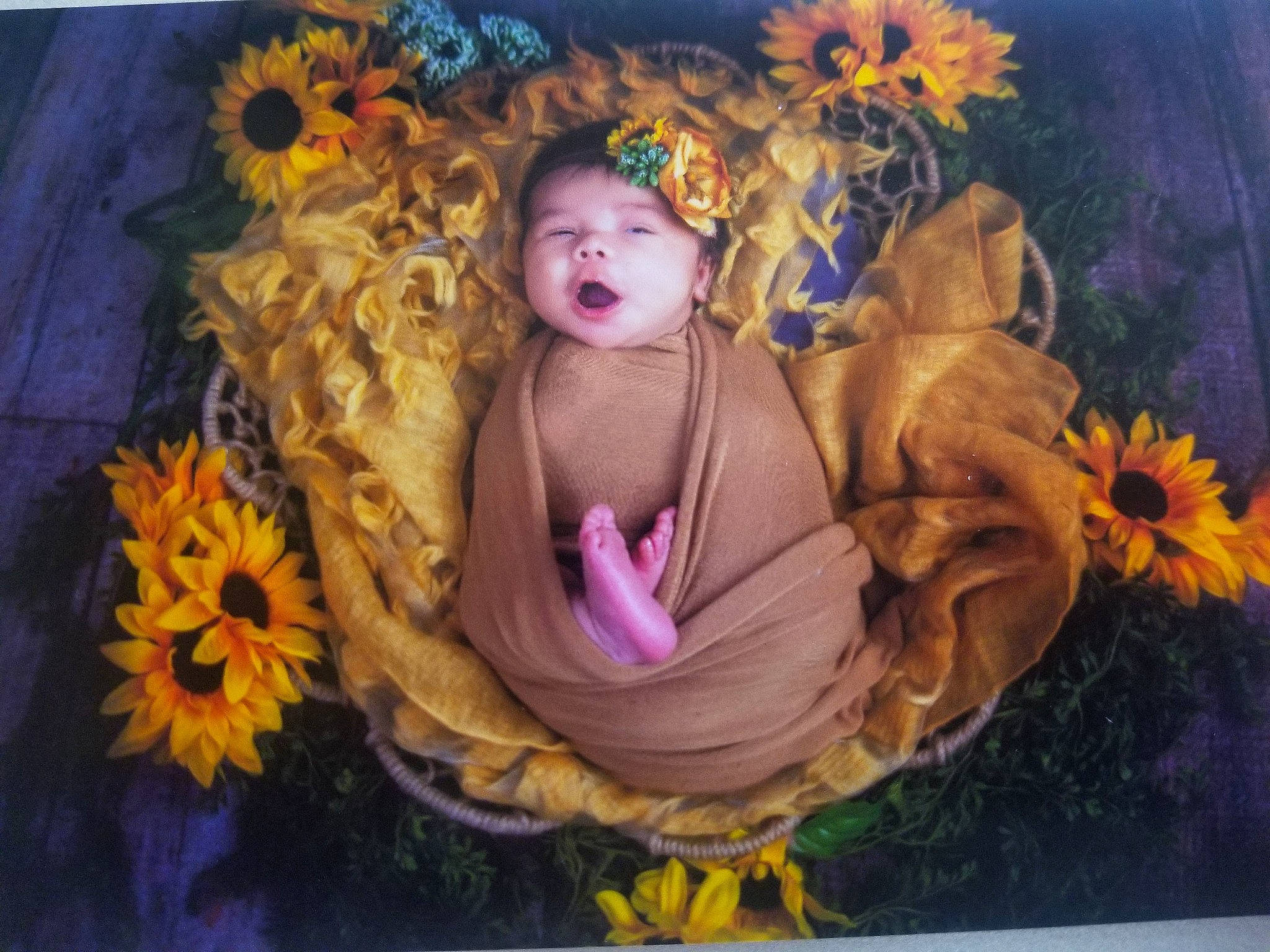 Maliah is registered to the contest to win money with this photo: art, flower, painting, person, plant, portrait, sunflower, yellow