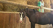 Milky participe au concours pour gagner de l'argent avec cette photo :