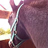 Milky participe au concours pour gagner de l'argent avec cette photo :