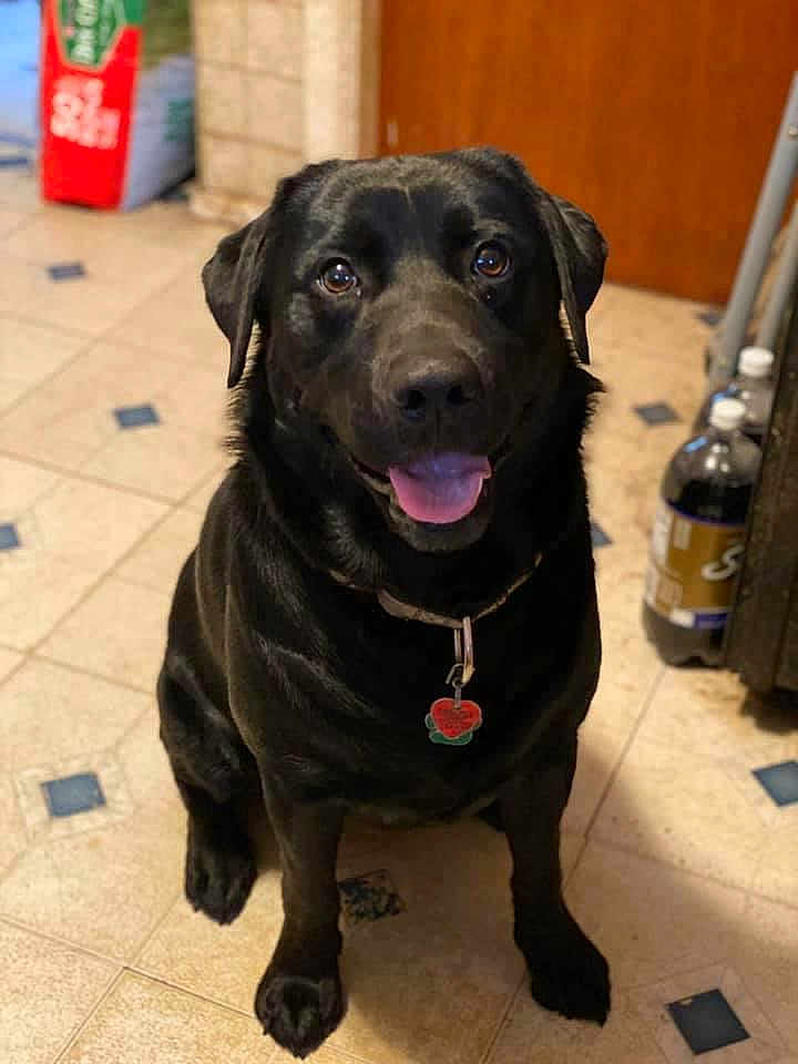 Ares