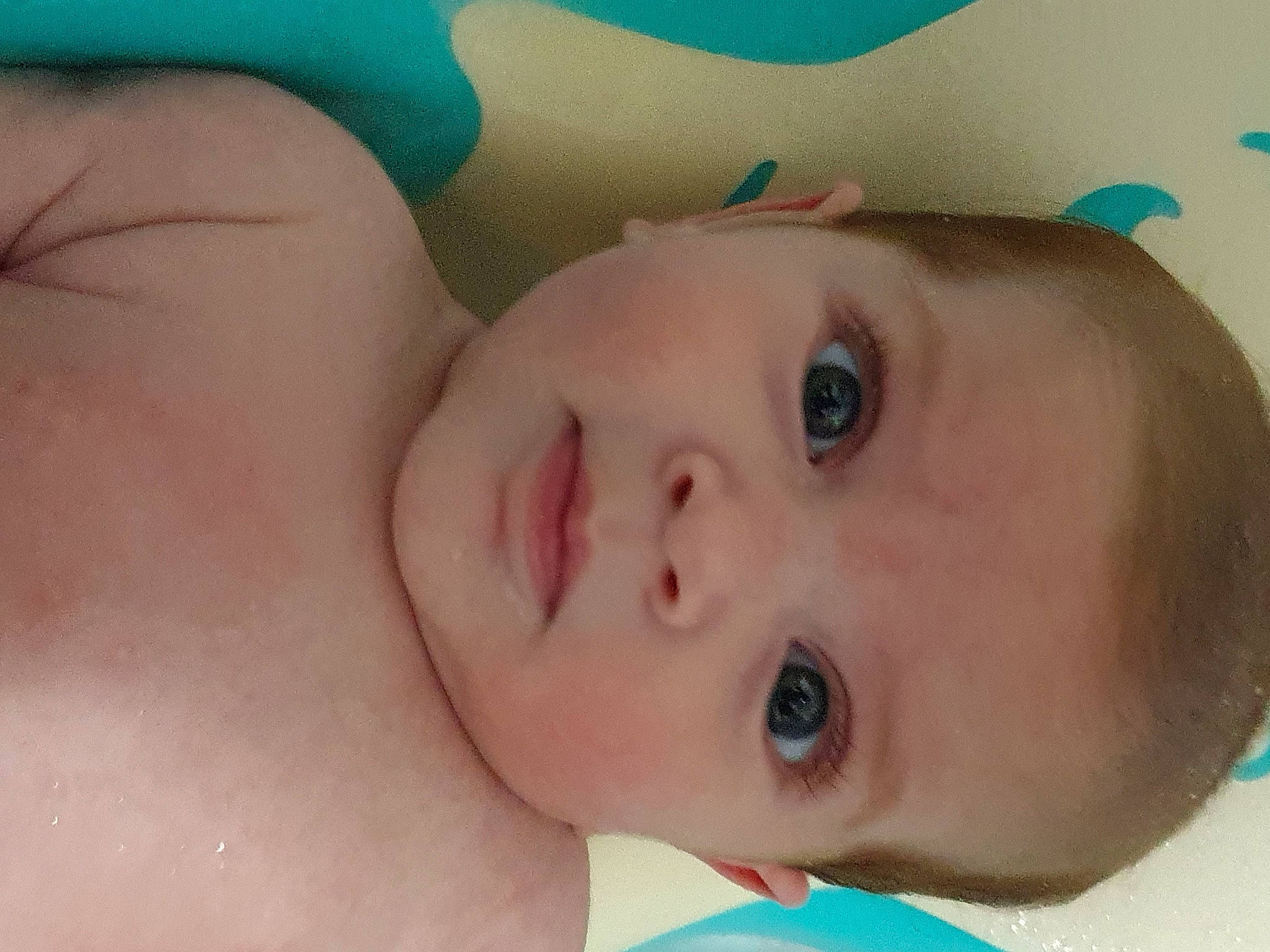 Lauritta a rejoint le concours — aidez-le/la à gagner de superbes lots ! baby, cheek, child, chin, close_up, ear, eye, eyebrow, eyelash, face, forehead, head, iris, lip, mouth, neck, nose, person, skin, smile