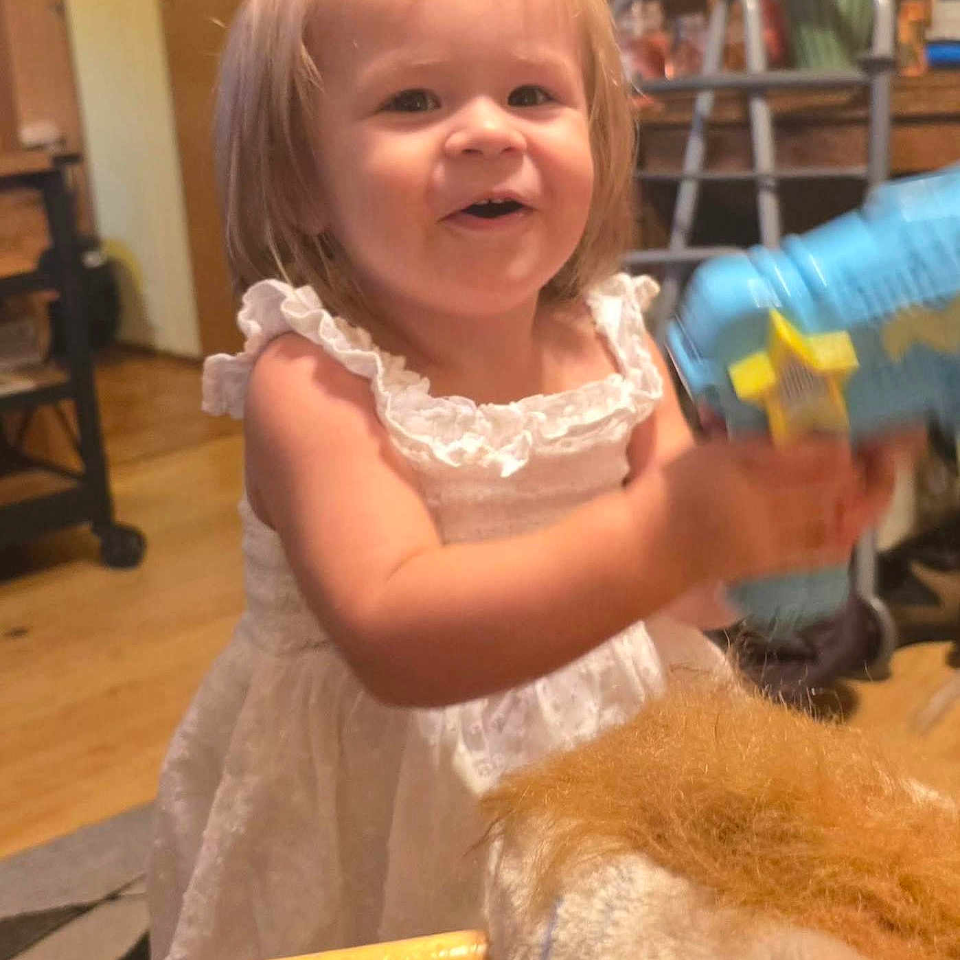 Aspen is registered to the contest to win money with this photo: blond_hair, carpet, child, cute, flowers, furniture, happy, home, indoor, person, playful, rocking_horse, smiling, toddler, toy_gun, vase, walker, white_dress, wood_floor, young_child