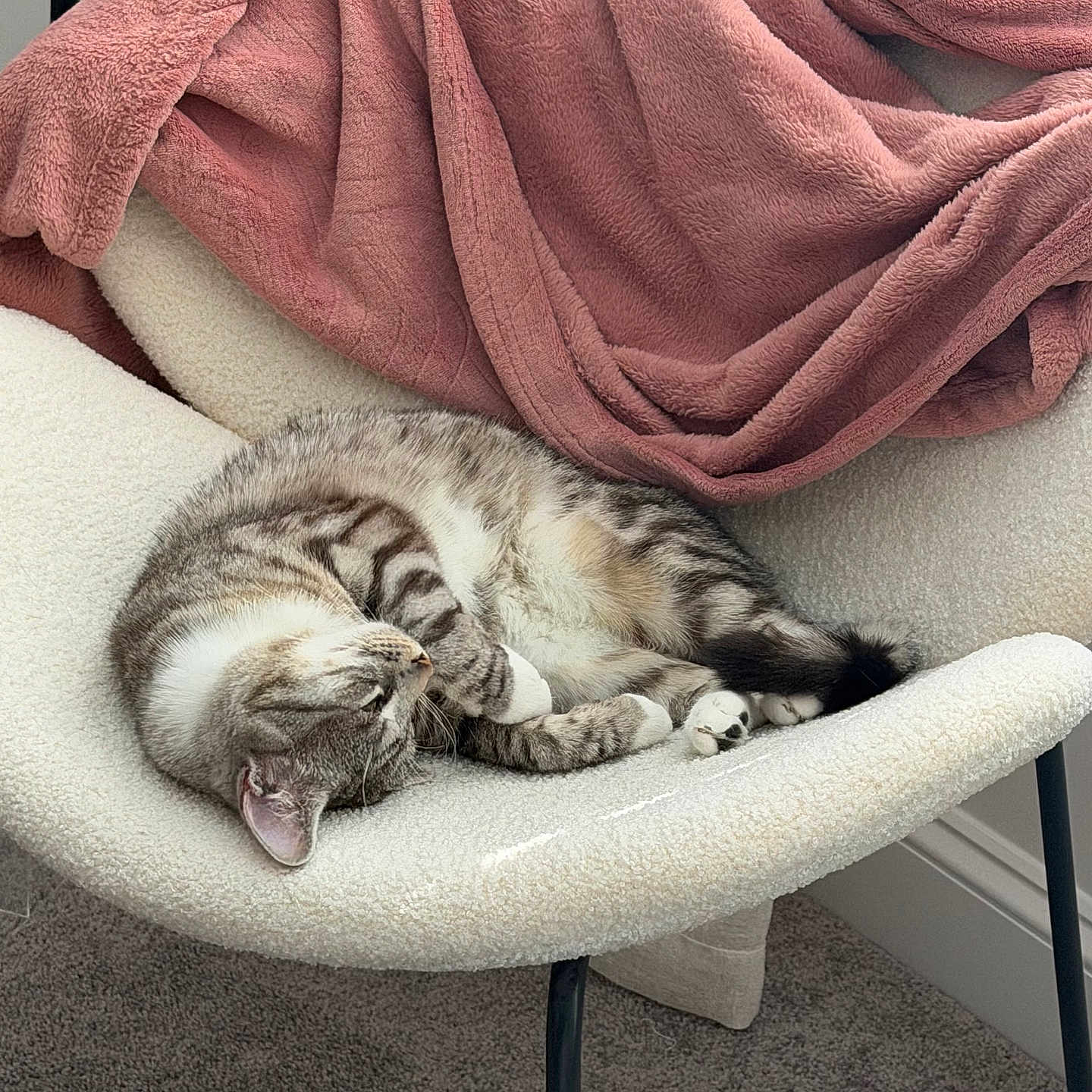 Sox