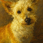 Izy a rejoint le concours — aidez-le/la à gagner de superbes lots ! dog, painting, art, fluffy, portrait, brown, fur, ears, nose, animal, expression, texture, classical, warm_colors, closeup, canvas, brushstrokes, pet, studio, vintage