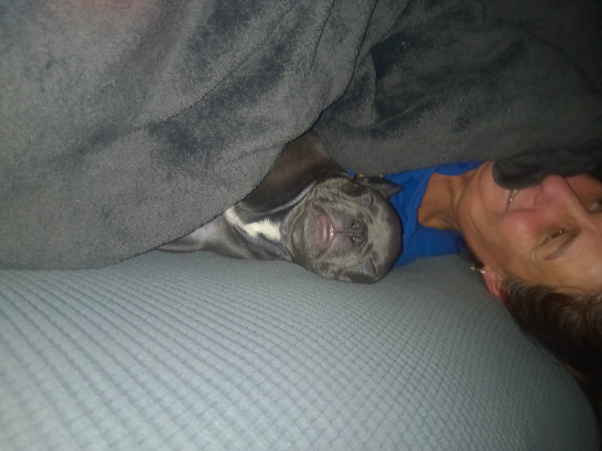 Koba is registered to the contest to win money with this photo: beard, bedding, bedtime, comfort, darkness, elbow, fur, gesture, grey, human_leg, linens, nap, room, sitting, sleep, smile