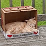 cat, cardboard_box, sleeping, outdoor, deck, wooden_fence, grass, pet, cozy, resting, animal, feline, box, nature, summer, relaxation, cute, domestic_animal, peaceful, cream_color