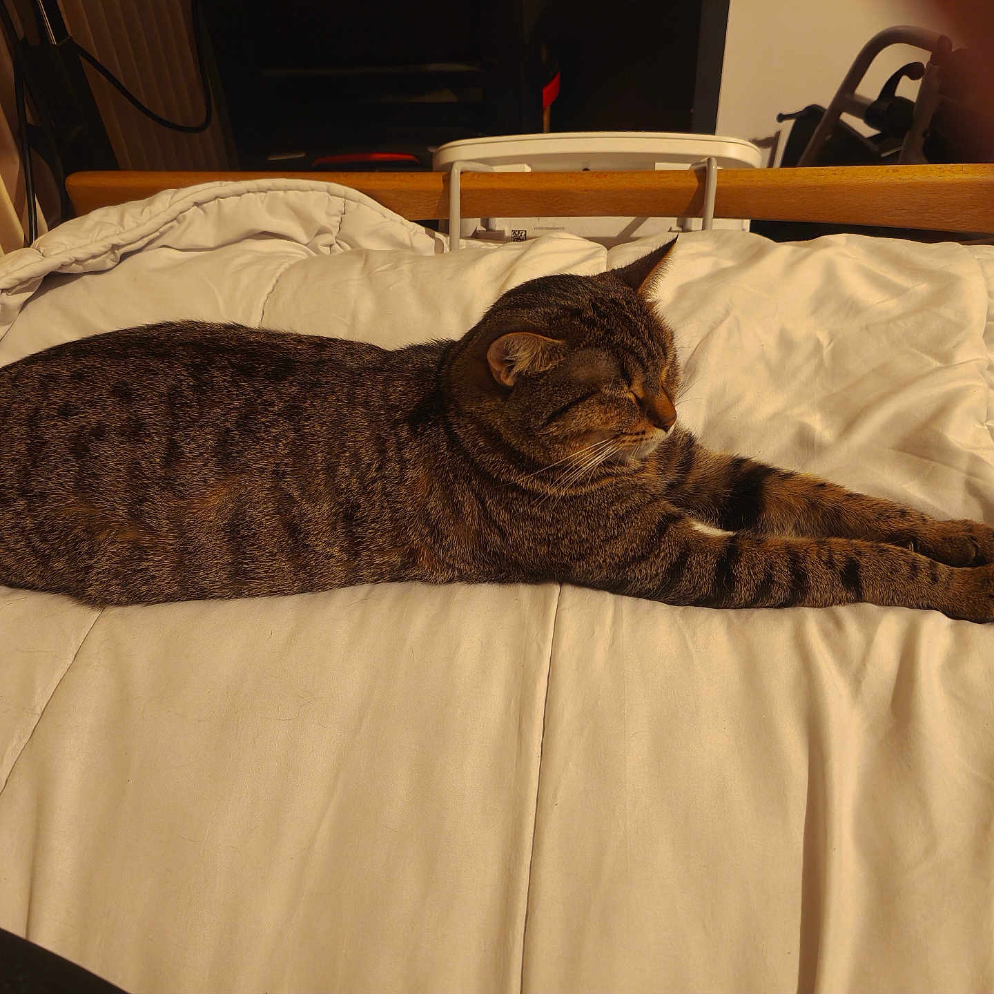 Caramel