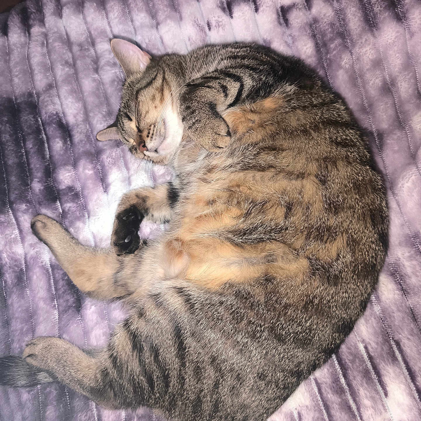 Caramel