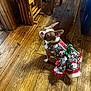dog, pet, clothing, dress, festive, holiday, santa, wooden_floor, indoor, furniture, curious, brown_and_white, small_dog, ears_up, looking_up, floor, home, cute, animal, domestic