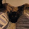 Isis a rejoint le concours — aidez-le/la à gagner de superbes lots ! cat, black_cat, pet, animal, indoors, bed, blanket, bedding, cozy, sleeping_area, wide_eyes, yellow_eyes, portrait, close_up, cute, curious, home, warm_lighting, patterned_fabric, feline