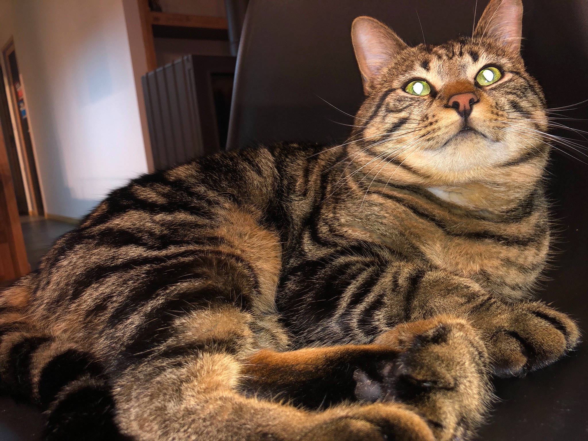 Tigrou