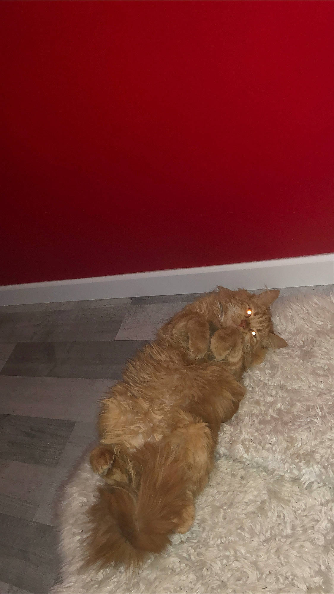 Garfield