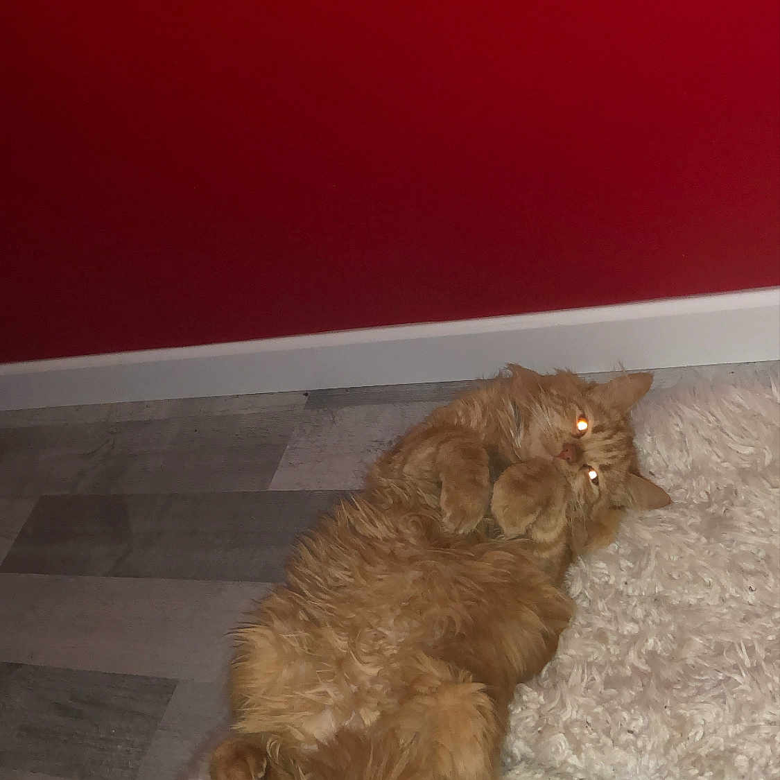Garfield