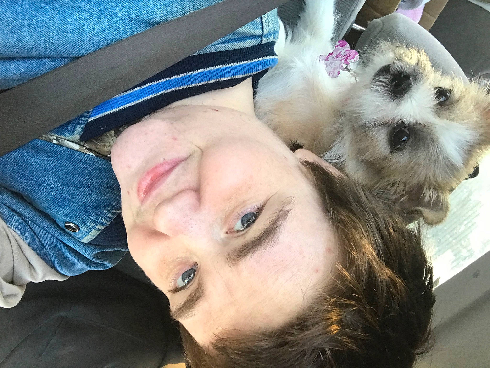 Lillie May joined the competition — help win amazing prizes! canidae, carnivore, companion_dog, dog, dog_breed, eyelash, eyewear, fawn, fur, happy, nose, paw, puppy_love, selfie, small_terrier, sporting_group, sunglasses, terrier, toy_dog, whiskers