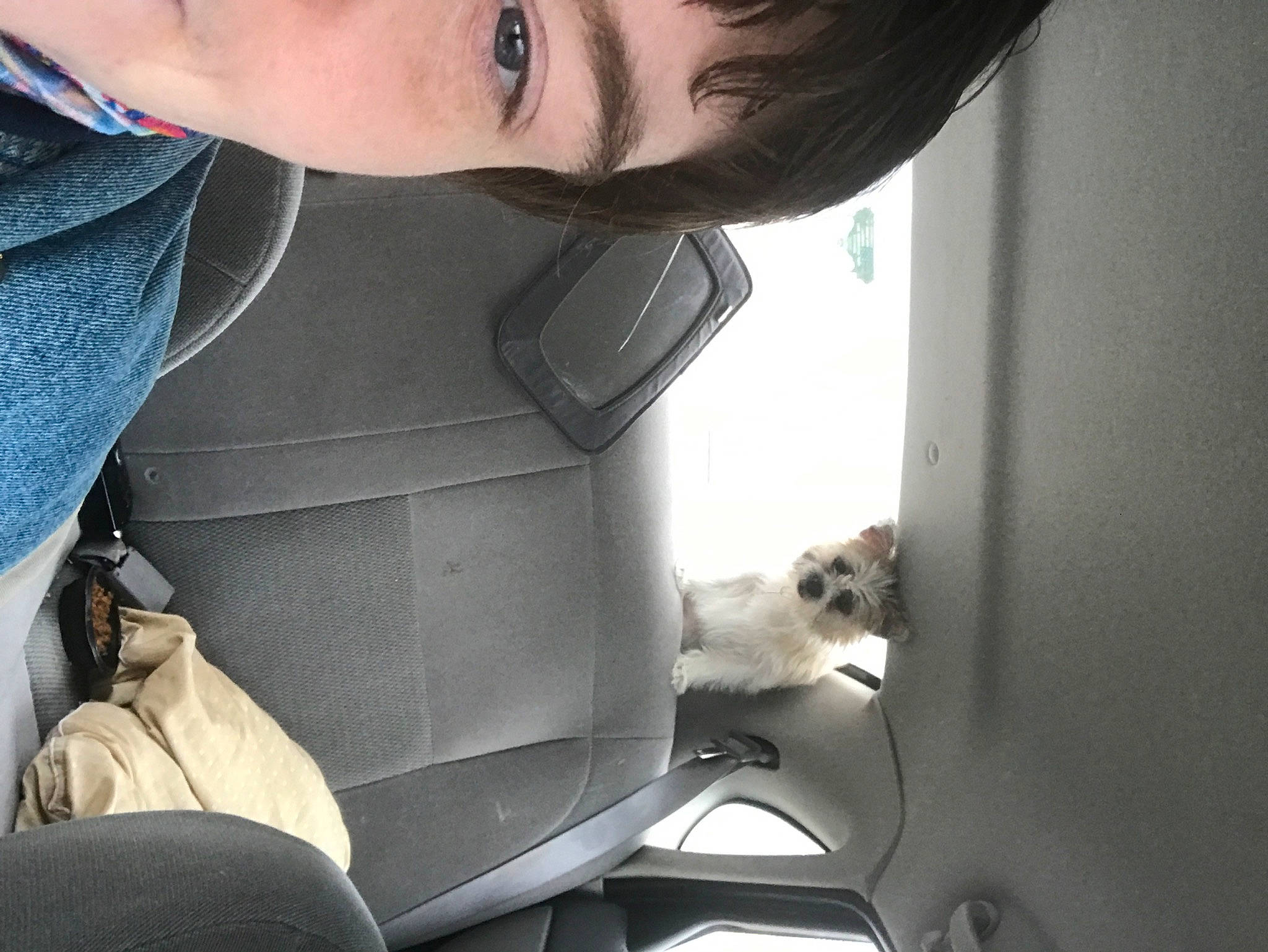 Lillie May joined the competition — help win amazing prizes! auto_part, automotive_window_part, carnivore, companion_dog, dog, dog_breed, elbow, eyelash, eyewear, fawn, felidae, small_to_medium_sized_cats, sporting_group, sunglasses, tints_and_shades, vehicle_door, vision_care, whiskers, window, windshield