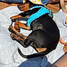 Bali a rejoint le concours — aidez-le/la à gagner de superbes lots ! dog, puppy, small_dog, black_dog, tan_dog, harness, hat, towel, sunlight, outdoor, person, hand, jeans, relaxing, sleeping, paw, tail, summer, casual, resting