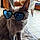 Moumoute