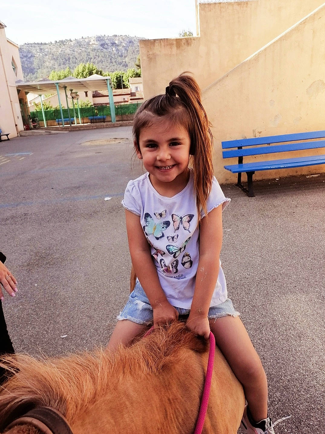 Francesca participe au concours pour gagner de l'argent avec cette photo : bridle, fawn, fun, halter, happy, horse, horse_supplies, horse_tack, joy, liver, people, person, photograph, recreation, rein, saddle, skin, sky, smile, summer