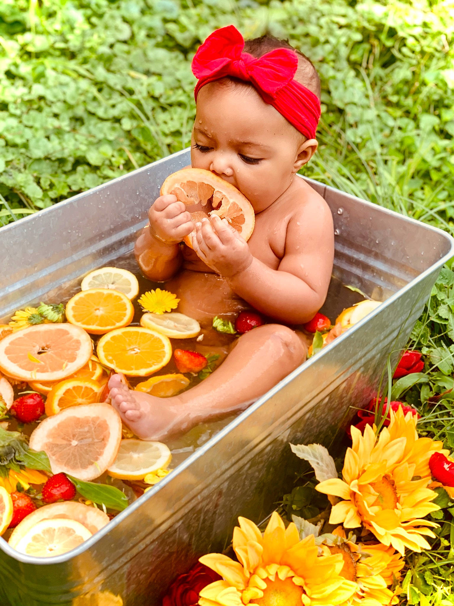 Audrianna is registered to the contest to win money with this photo: baby, child, happy, person, plant, toddler