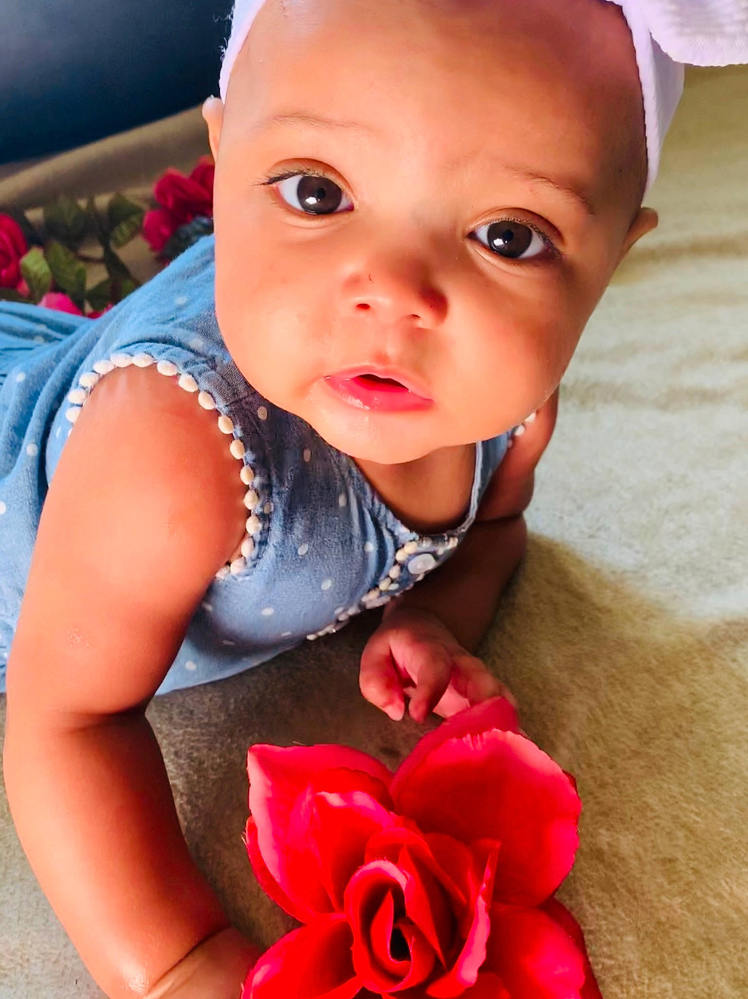 Audrianna is registered to the contest to win money with this photo: baby, beauty, cheek, child, child_model, face, flower, hair_accessory, head, headband, headgear, lip, mouth, person, petal, pink, red, rose, skin, smile