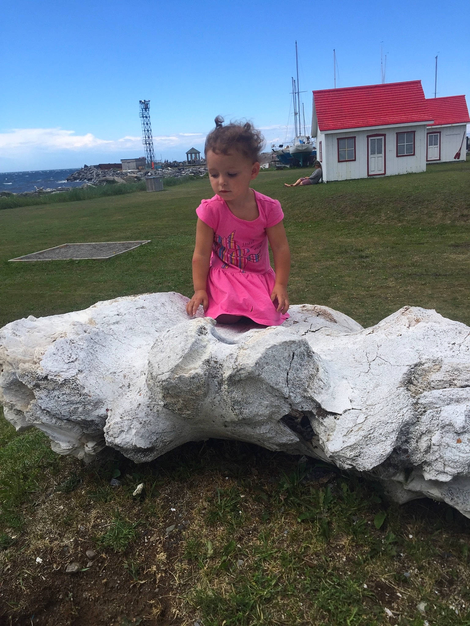 Rommy a rejoint le concours — aidez-le/la à gagner de superbes lots ! automotive_wheel_system, bedrock, cloud, fun, grass, grassland, house, landscape, leisure, pasture, person, prairie, rock, sitting, sky, soil, t_shirt, toddler, vacation, window