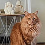 cat, orange_cat, fluffy_fur, indoor, table, buddha_statue, decor, wooden_floor, green_eyes, pet, furniture, domestic_animal, mammal, portrait, sitting, calm, feline, household, relaxing, closeup