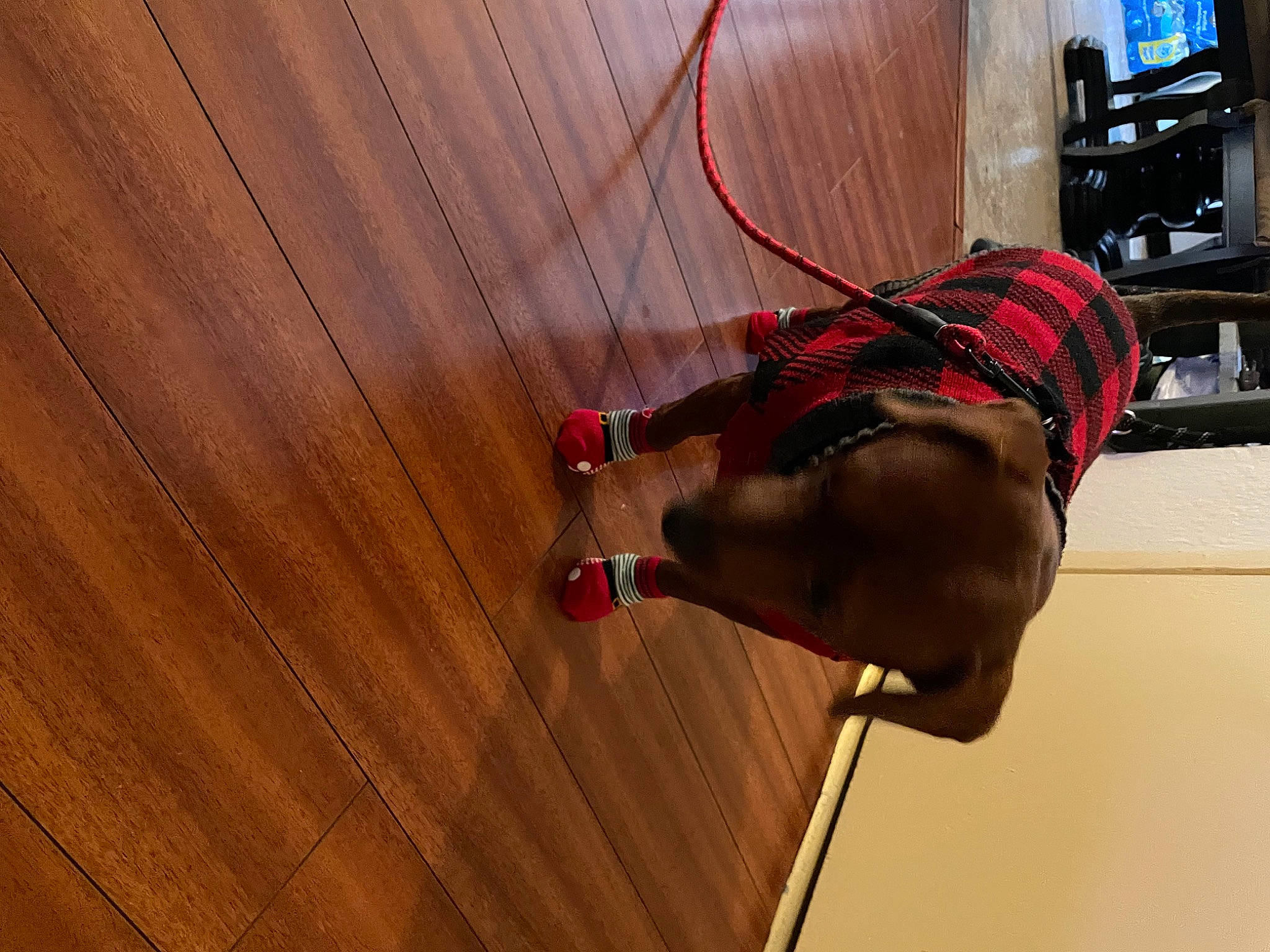 Canela is registered to the contest to win money with this photo: cable, display_device, elbow, electrical_wiring, flooring, foot, hardwood, home_appliance, human_leg, knee, leg, magenta, shelf, television, thigh, varnish, wire, wood, wood_stain, wrist