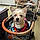Harley
