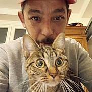 Loulou a rejoint le concours — aidez-le/la à gagner de superbes lots ! man, cat, tabby_cat, orange_cap, gray_sweatshirt, indoor, furniture, cabinet, face, whiskers, eyes, portrait, closeup, pet, domestic_animal, curious, expression, human, holding, selfie