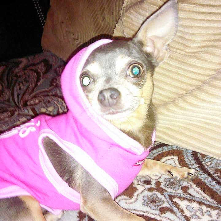 Peanut