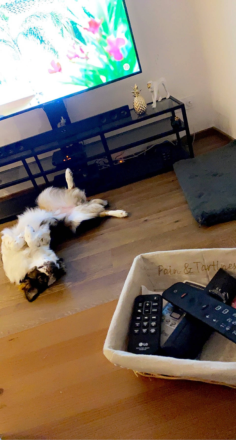 Reyna a rejoint le concours — aidez-le/la à gagner de superbes lots ! comfort, communication_device, computer_keyboard, couch, electronic_device, eyewear, floor, flooring, gadget, hardwood, input_device, office_equipment, office_supplies, output_device, space_bar, table, television, television_set, white, wood