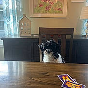 Humphrey is registered to the contest to win money with this photo: dog, black_and_white, sitting, dining_room, dining_table, chair, game_cards, card_game, wooden_table, home_interior, furniture, curtains, window, sunlight, wall_art, flowers, lamp, sideboard, pet, portrait