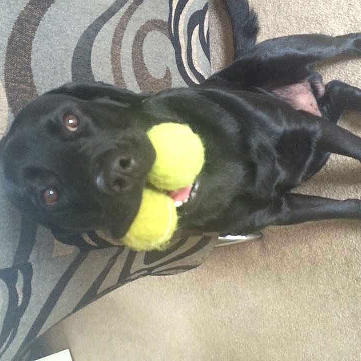 Arthur is registered to the contest to win money with this photo: