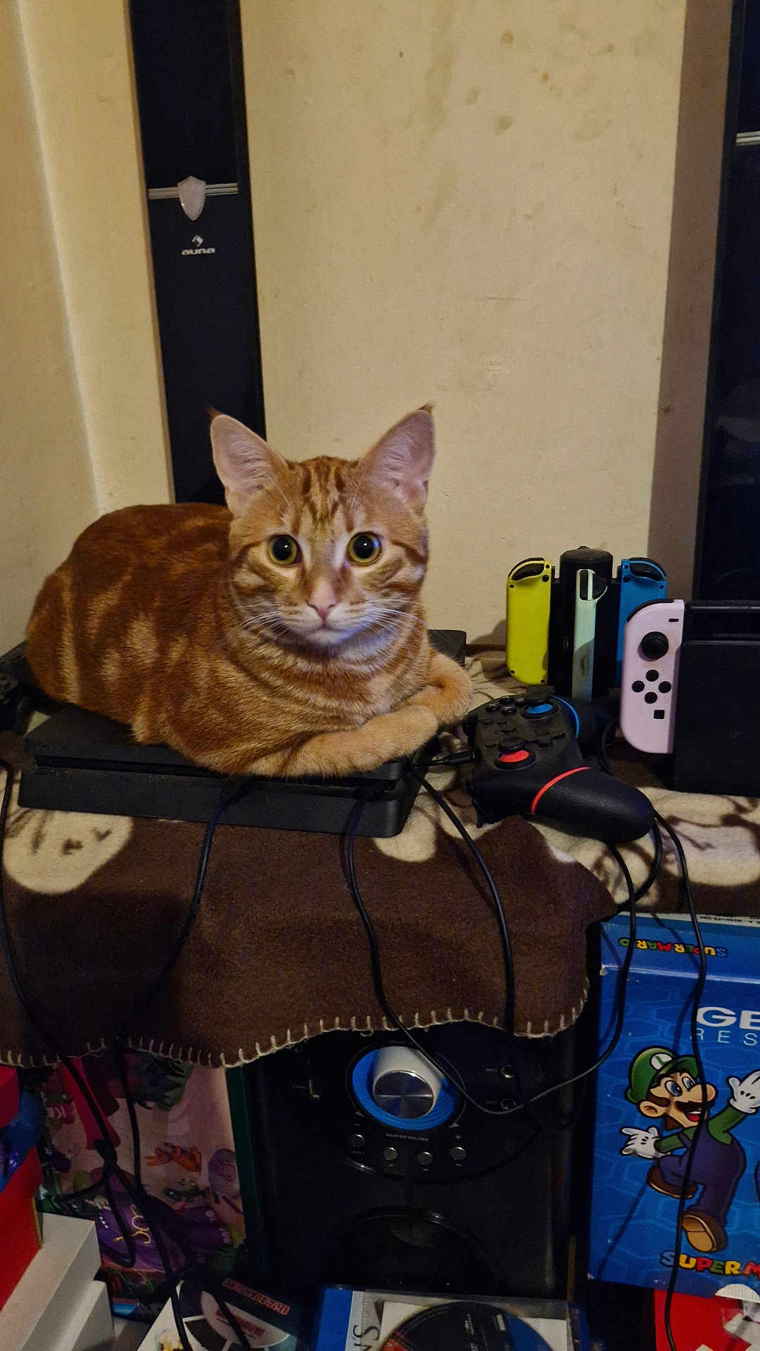 Willow participe au concours pour gagner de l'argent avec cette photo : cat, orange_tabby, gaming_console, game_controller, video_game, electronics, indoor, pet, cable, table, blanket, wall, curious, loaf_position, technology, colorful, entertainment, gamer, relaxed, feline