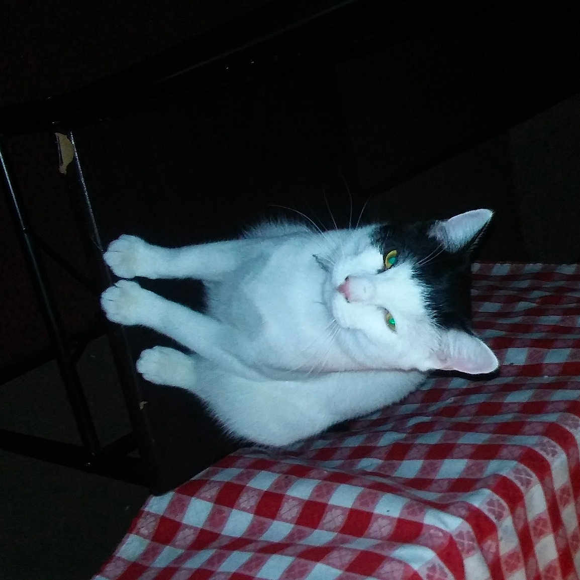 Romeo