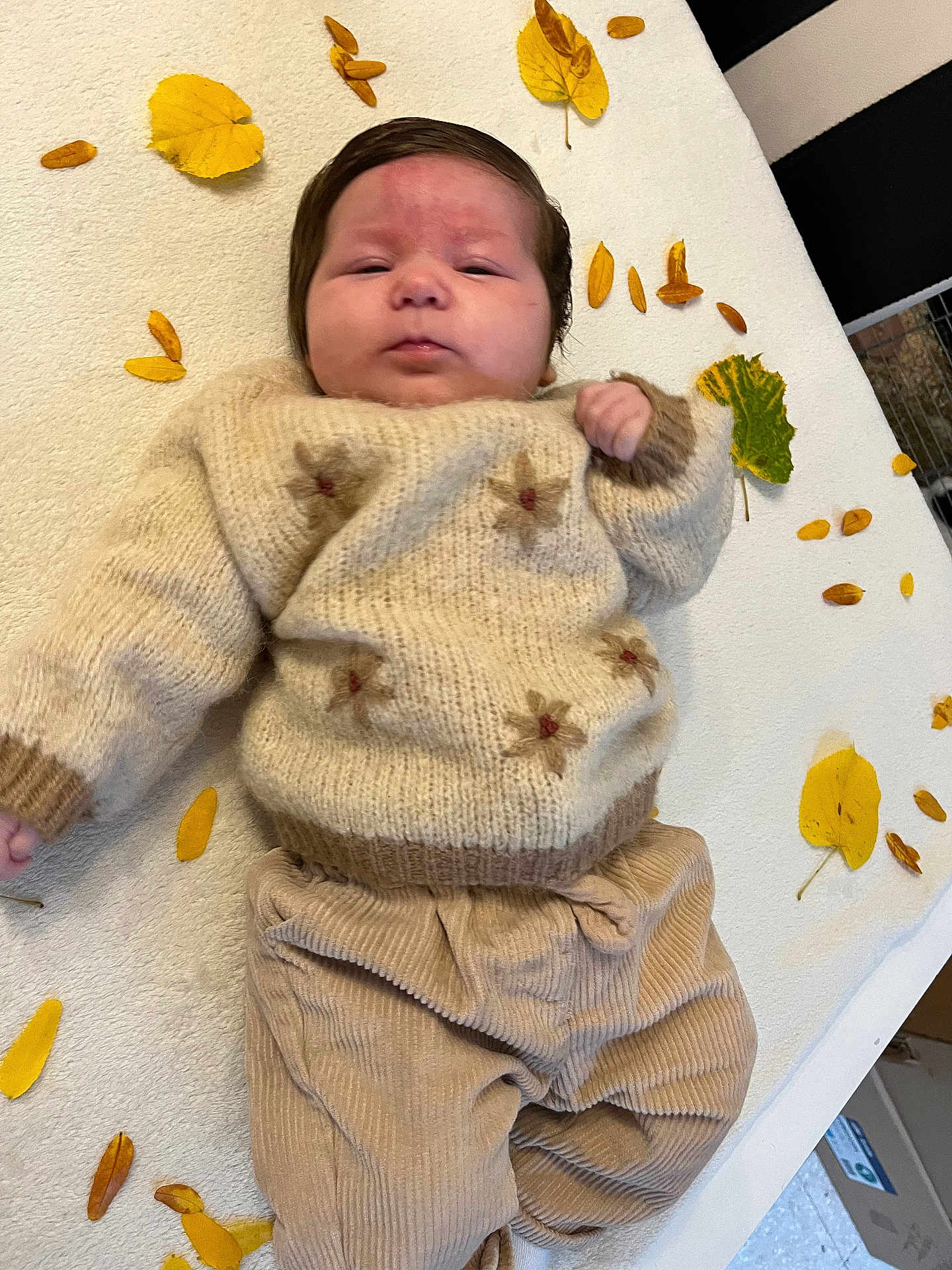 Ana