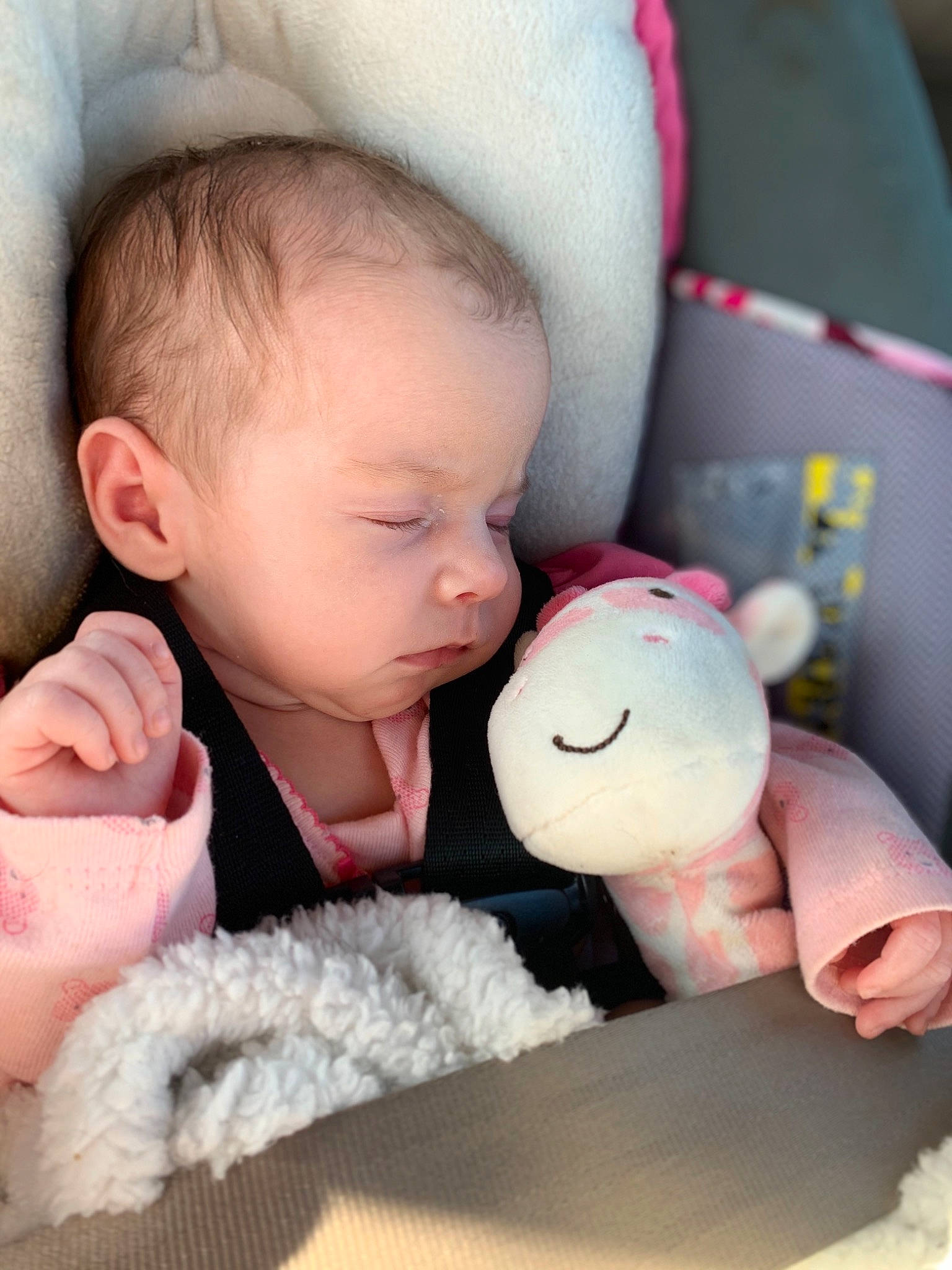 Gentry is registered to the contest to win money with this photo: baby, baby_in_car_seat, baby_sleeping, birth, cheek, child, ear, finger, hand, head, nap, person, pink, skin, sleep, stuffed_toy, toddler