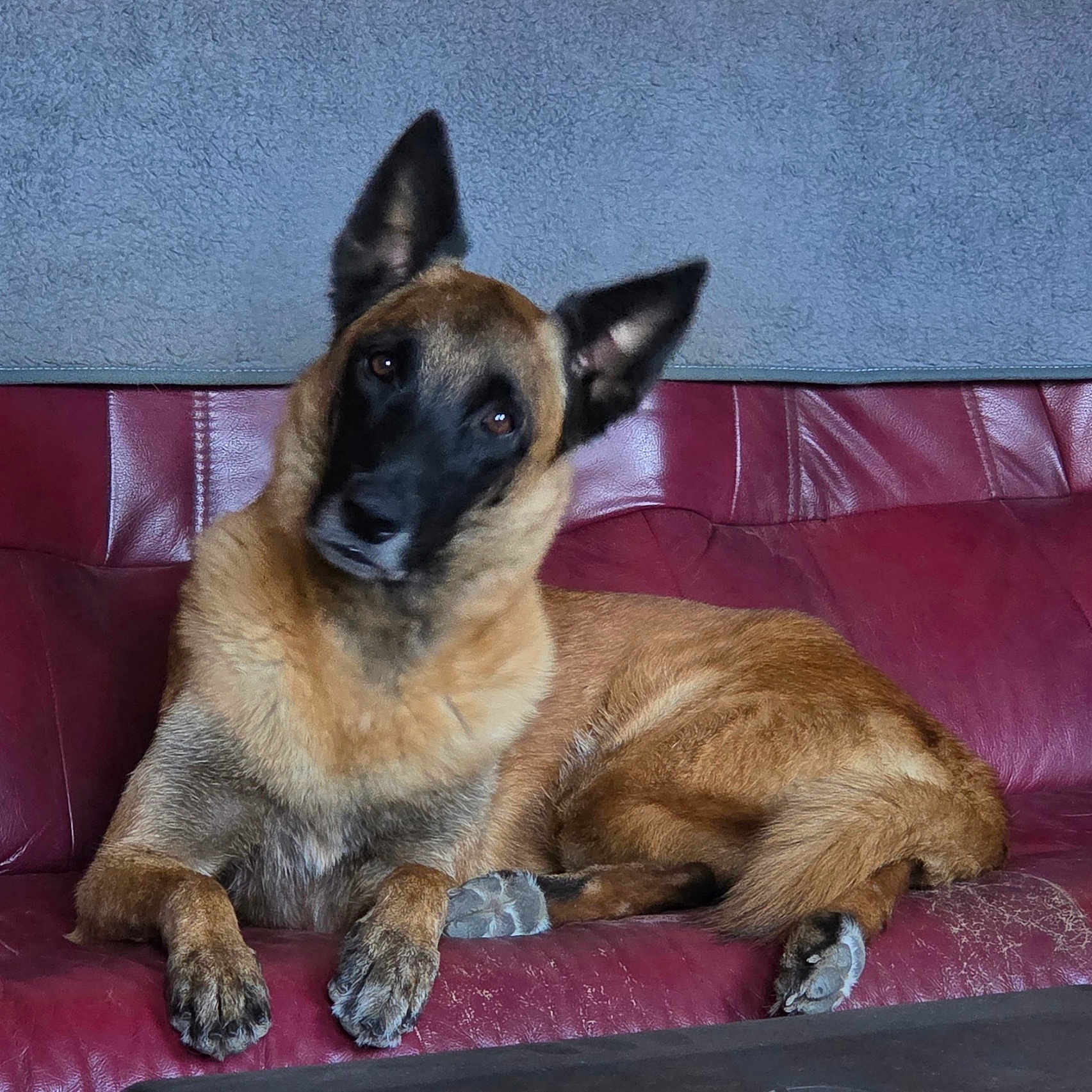 Xena