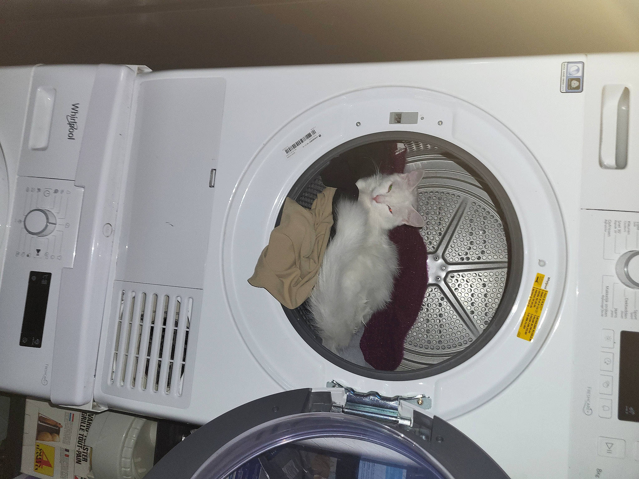 Chopper participe au concours pour gagner de l'argent avec cette photo : audio_equipment, auto_part, automotive_tire, circle, clothes_dryer, electronic_device, font, gadget, gas, home_appliance, laundry, laundry_room, machine, major_appliance, metal, room, washing_machine, white